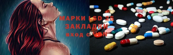 хмурый Алзамай