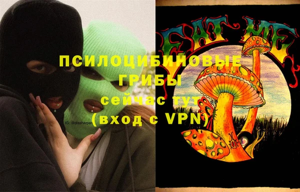 хмурый Алзамай