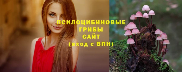 ПСИЛОЦИБИНОВЫЕ ГРИБЫ Алексеевка