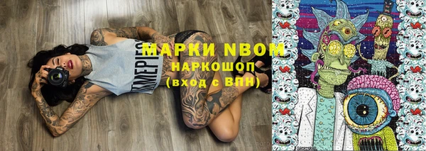 хмурый Алзамай