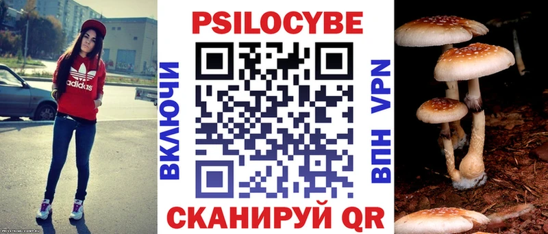 Псилоцибиновые грибы Cubensis  МЕГА как войти  Сортавала 